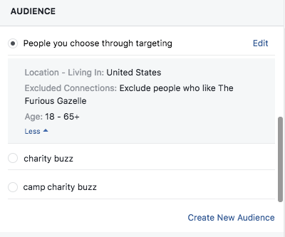 Targeting a specific audience on Facebook.