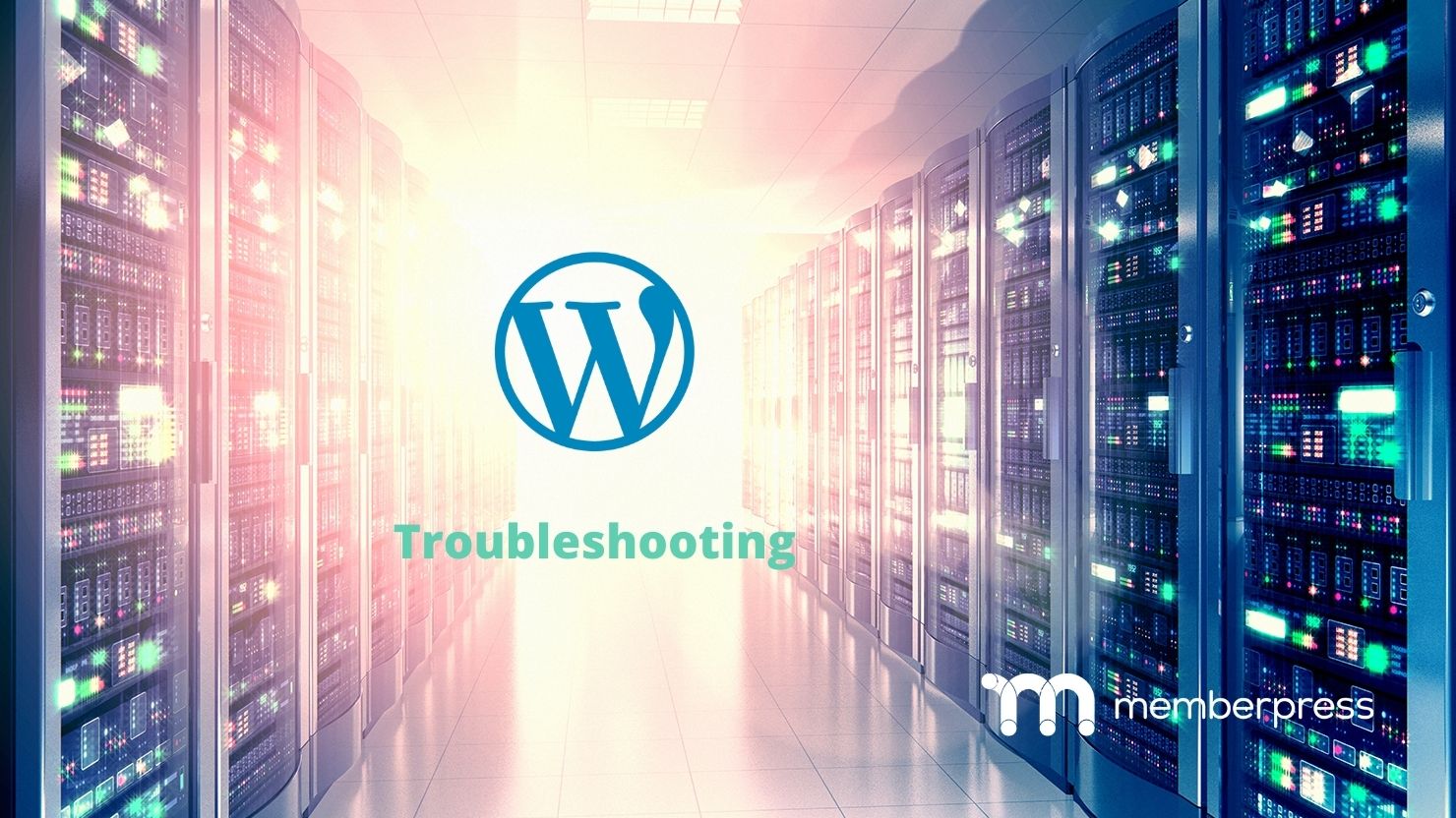 WordPress troubleshooting image