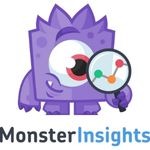 MonsterInsights Icon