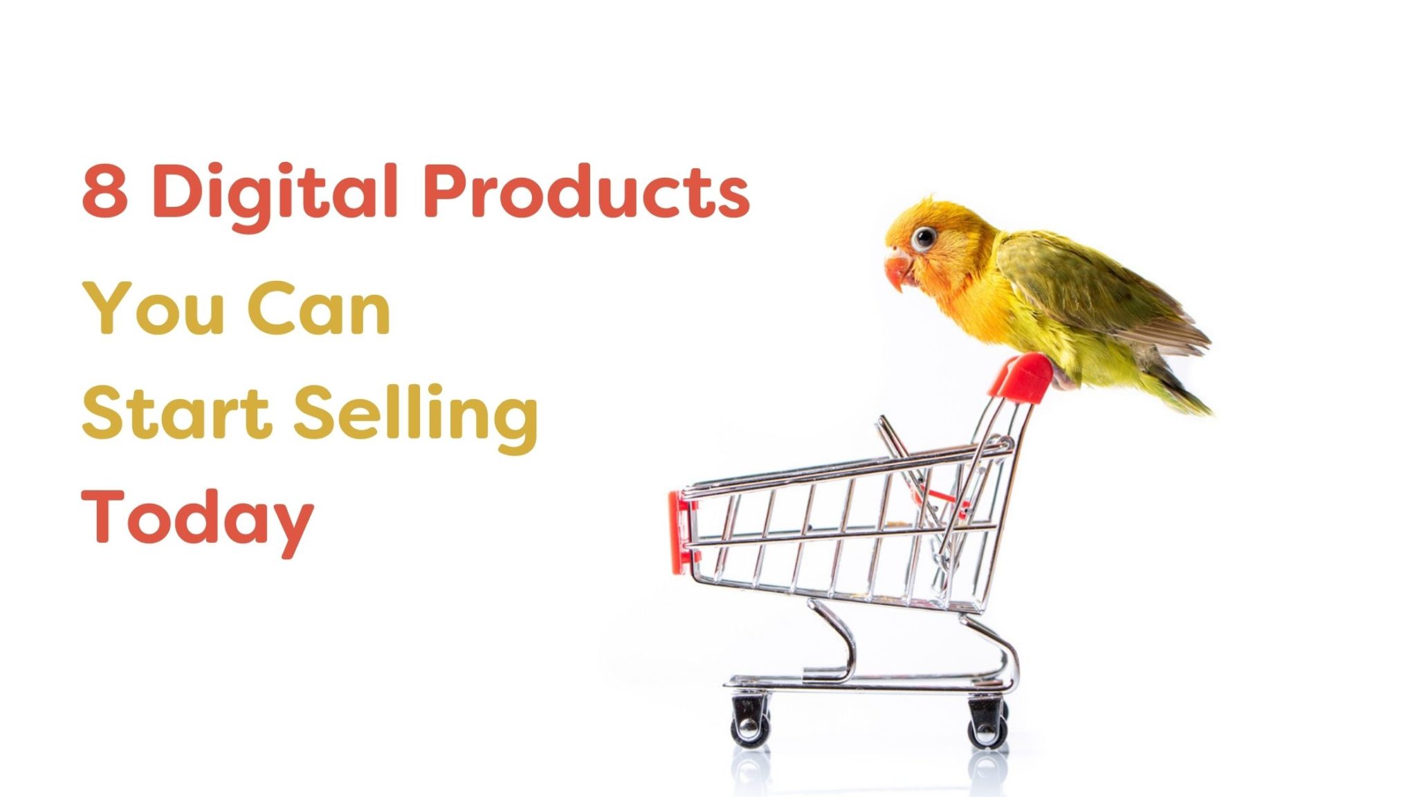 8-digital-products-you-can-sell-with-wordpress-right-now