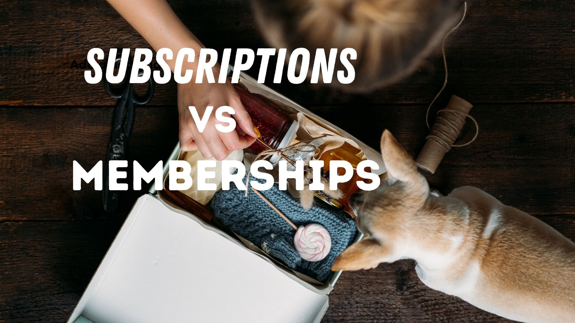 subscriptions-vs-memberships-what-s-the-difference