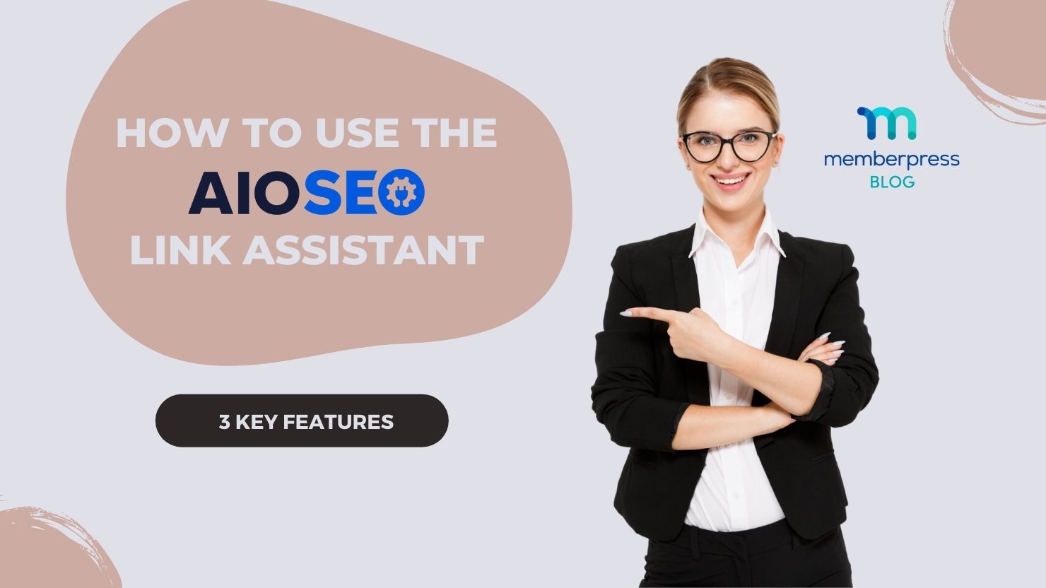 How to use the AIOSEO link assistant add on