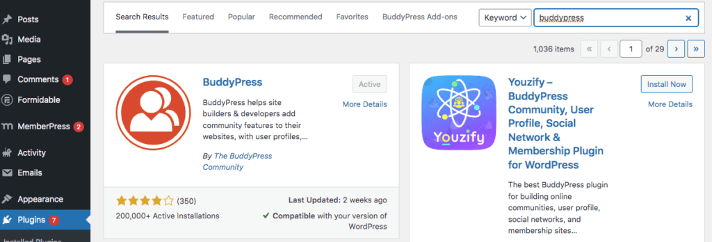 Install BuddyPress plugin