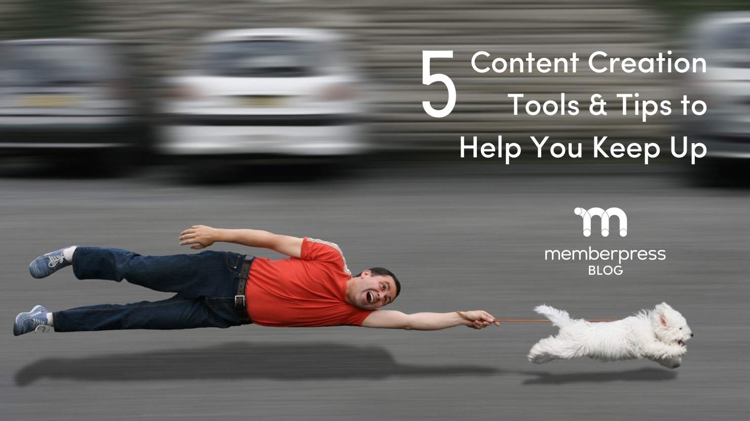 Tips & Tricks: 5 Features for Content Creators