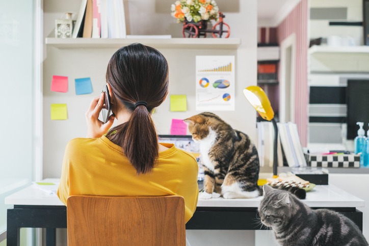 woman working from home with her cats