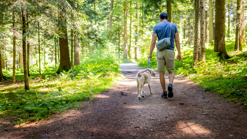 man walking his dog in the forest