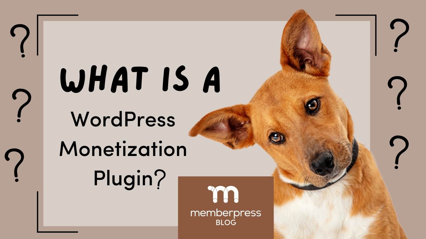 What is a wordpress monetization plugin