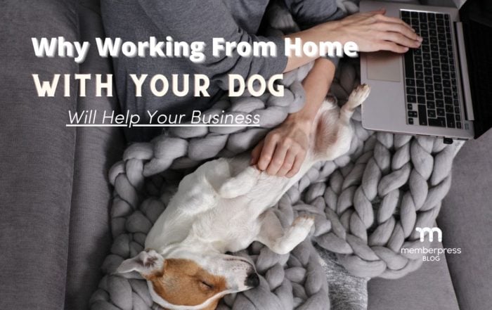 A dog sits beside its working owner Text reads Why Working From Home With Your Dog Will Help Your Business The MemberPress blogs logo is present