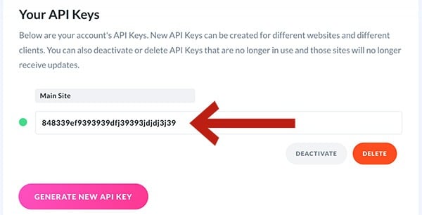 Copying an API key in Elegant Themes