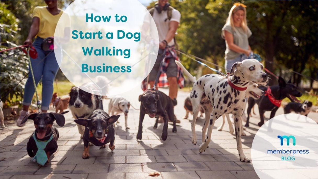 start a dog walking business with WordPress