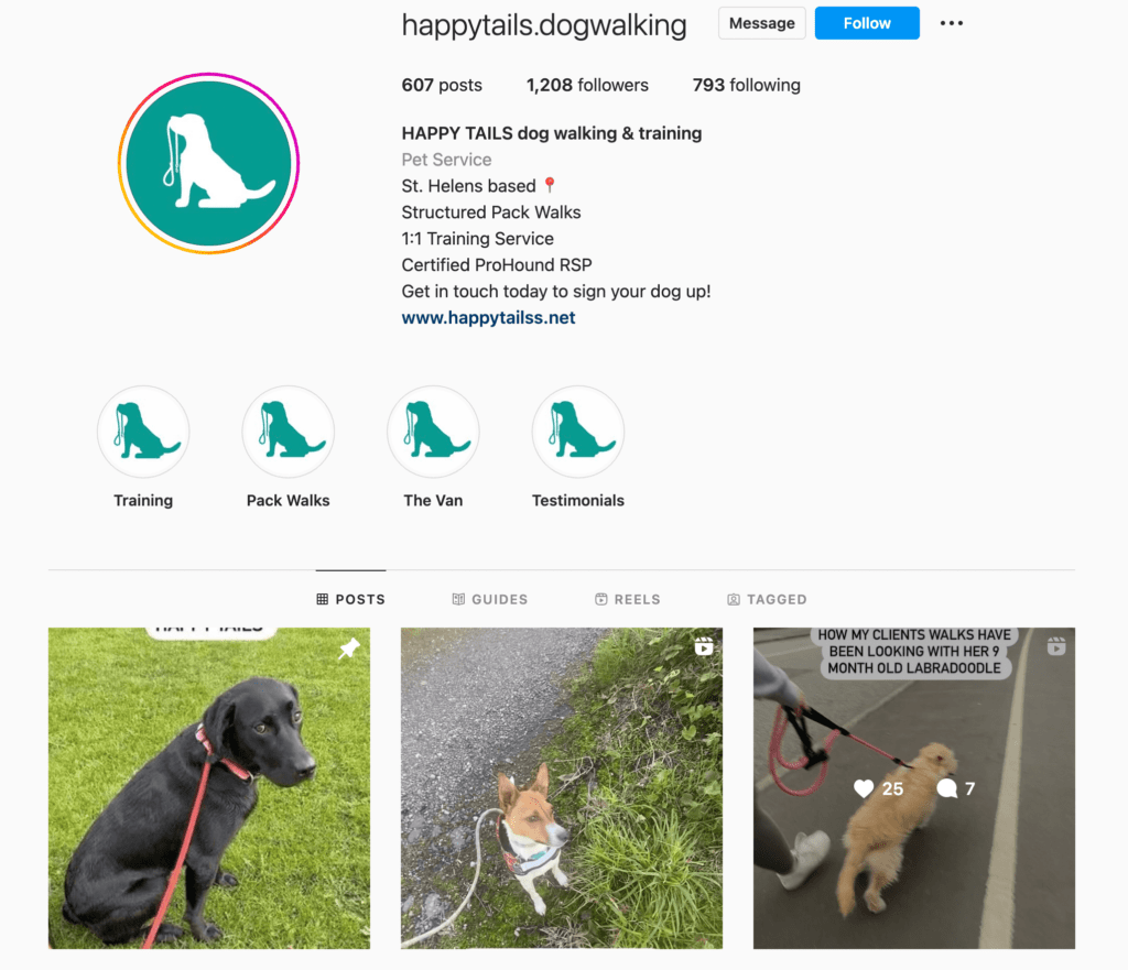 Dog walking Instagram account.