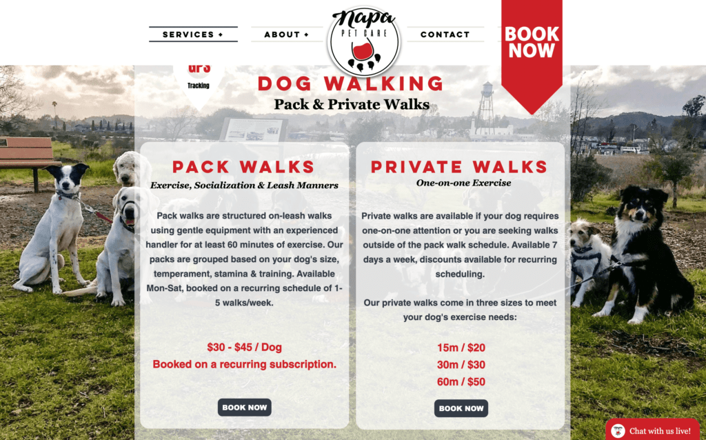 Pack versus private dog walks.