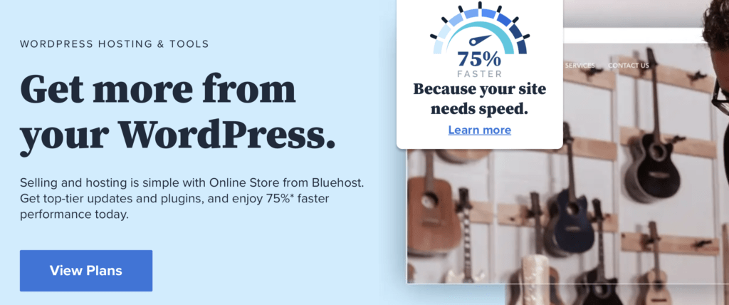 Bluehost hosting provider