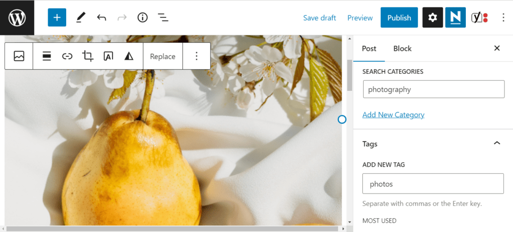 Adding categories and tags in WordPress
