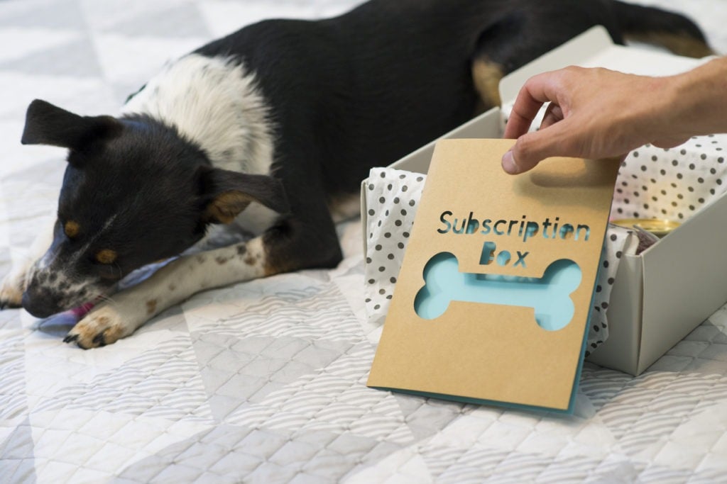 Woman and her dog opening a pet products subscription box 