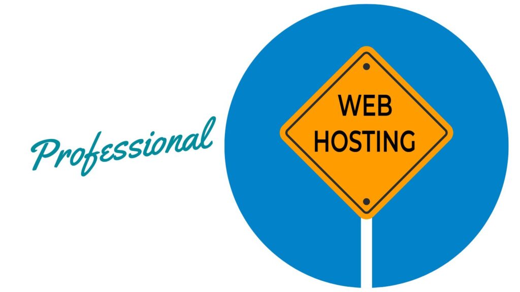 Professional web hosting
