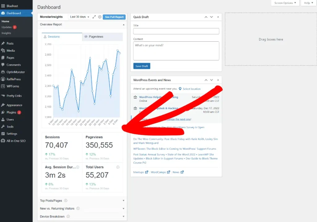 MonsterInsights WordPress admin data screen