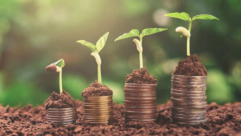 business growth concept finance shown through seedlings sprouting from a pile of coins
