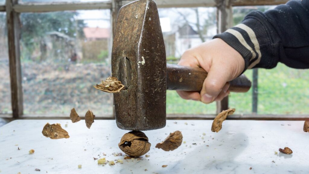 a hammer crushing a walnut