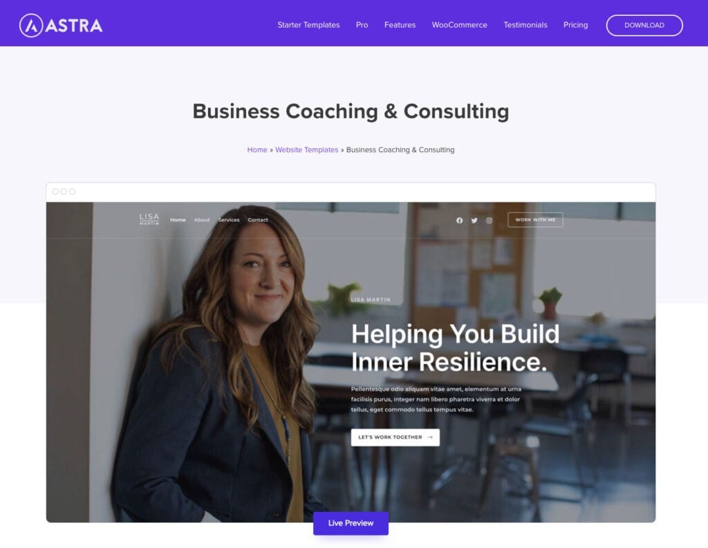 Astra business and consulting themes main page screenshot