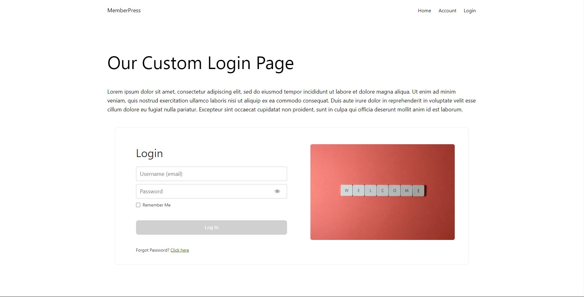 preview ReadyLaunch™ Login template