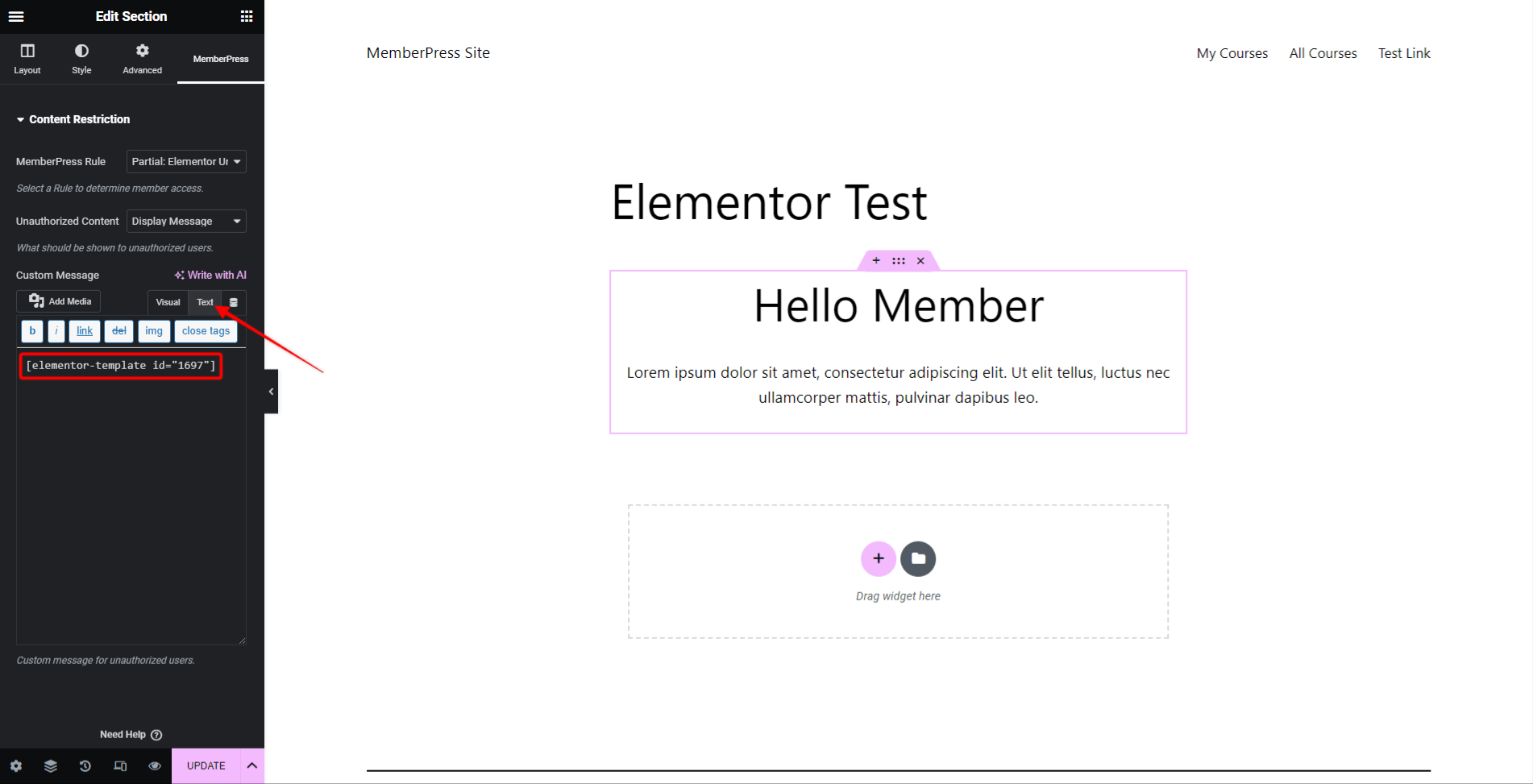 Add the Elementor template shortcode as Display Message