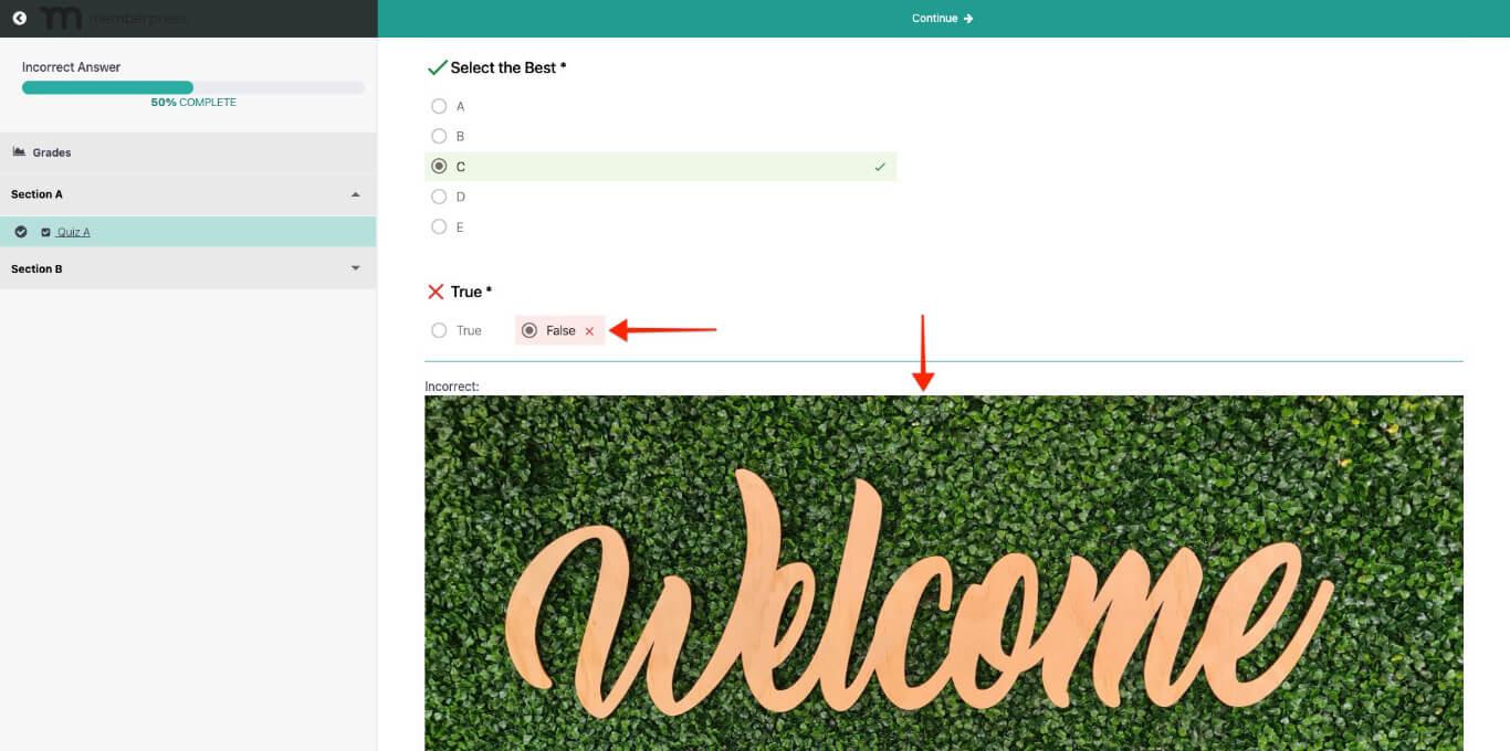 mepr-1-12-10-richtiges-bild-vorschau | MemberPress Bildvorschau für falsche Antwort