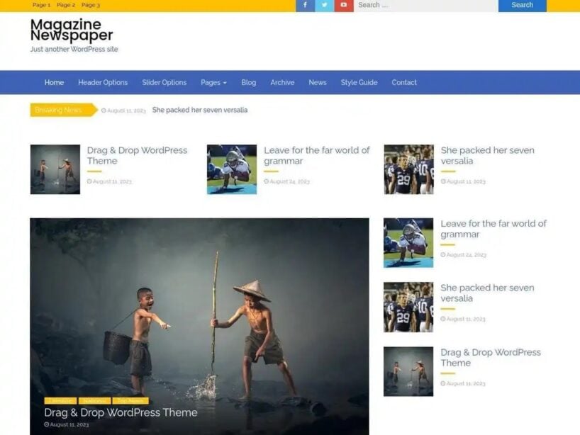 How To Create a MembersOnly News Website on WordPress