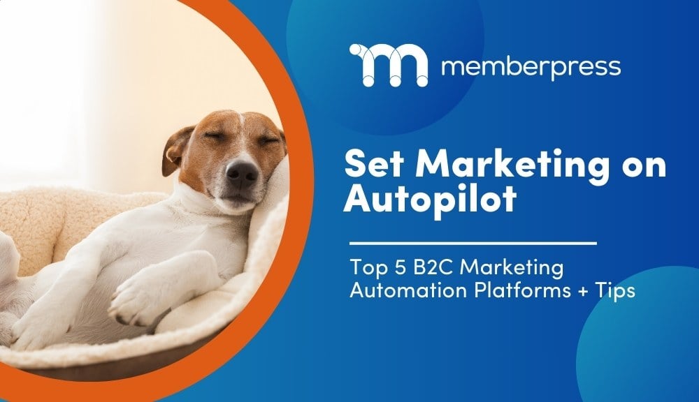 Das Titelbild zeigt einen Hund, der sich ausruht, mit dem Titel "Set Marketing on Autopilot - Top 5 b2c marketing automation platforms".