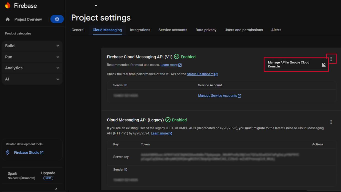 select Manage API in Google Cloud Console