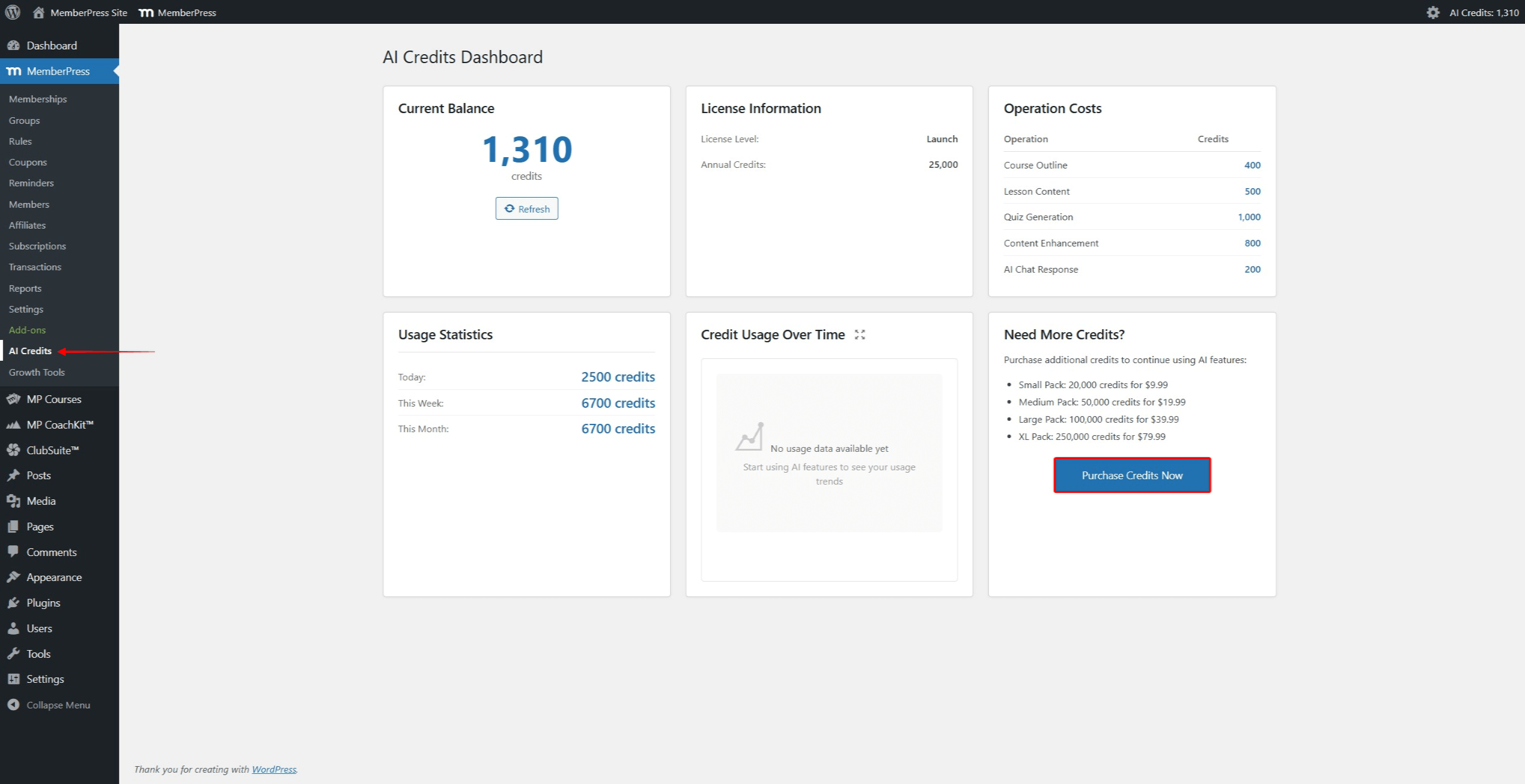 Screenshot of the AI Credits dashboard showing the current credit balance, purchase options, and usage history section.