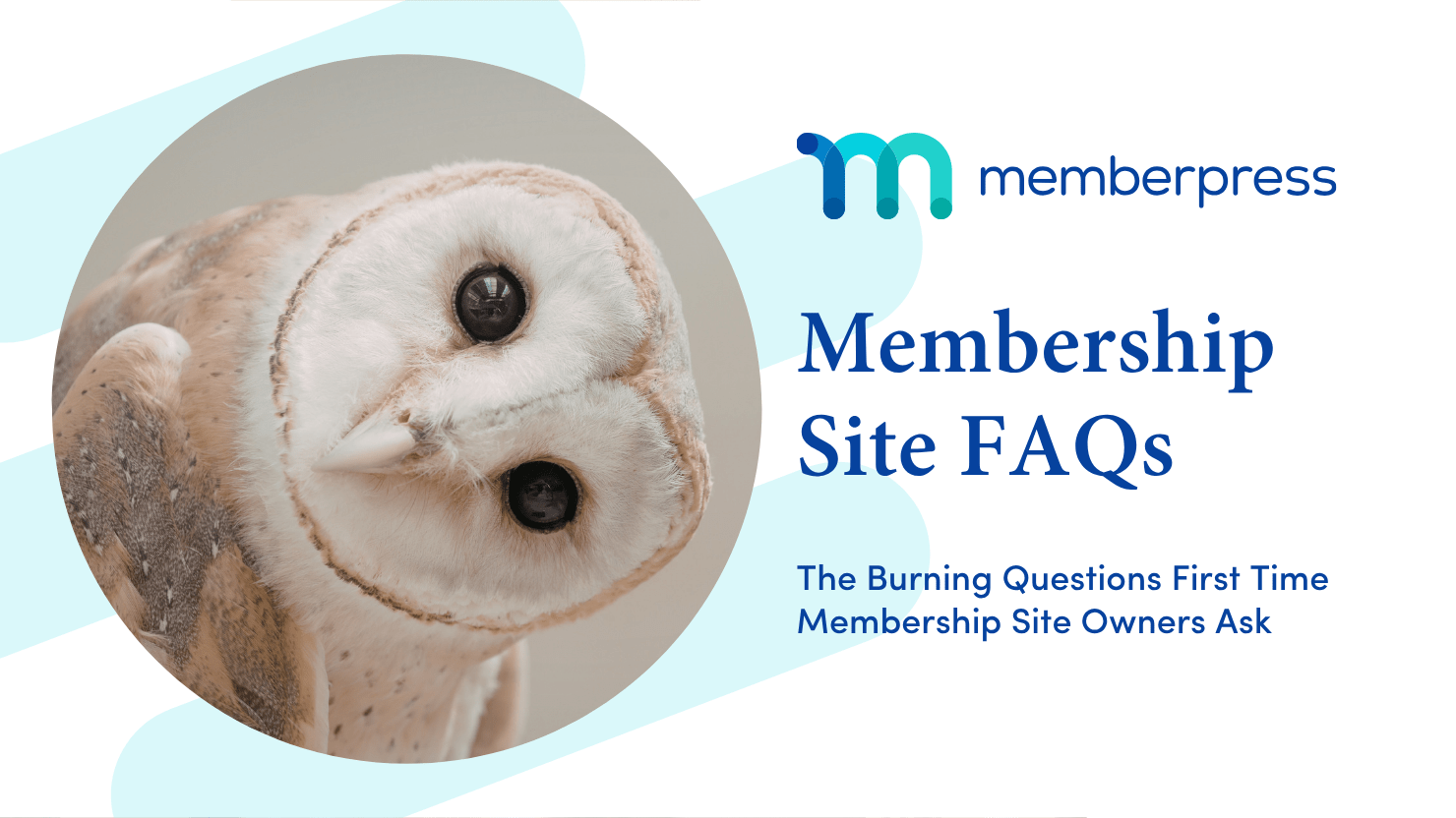 Perguntas frequentes sobre o site de associação | MemberPress Perguntas frequentes sobre o site de associação