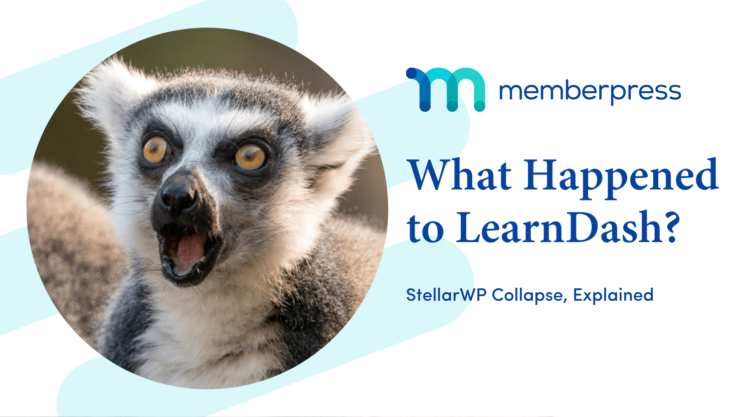 what happened to learndash when stellar wp collapsed?