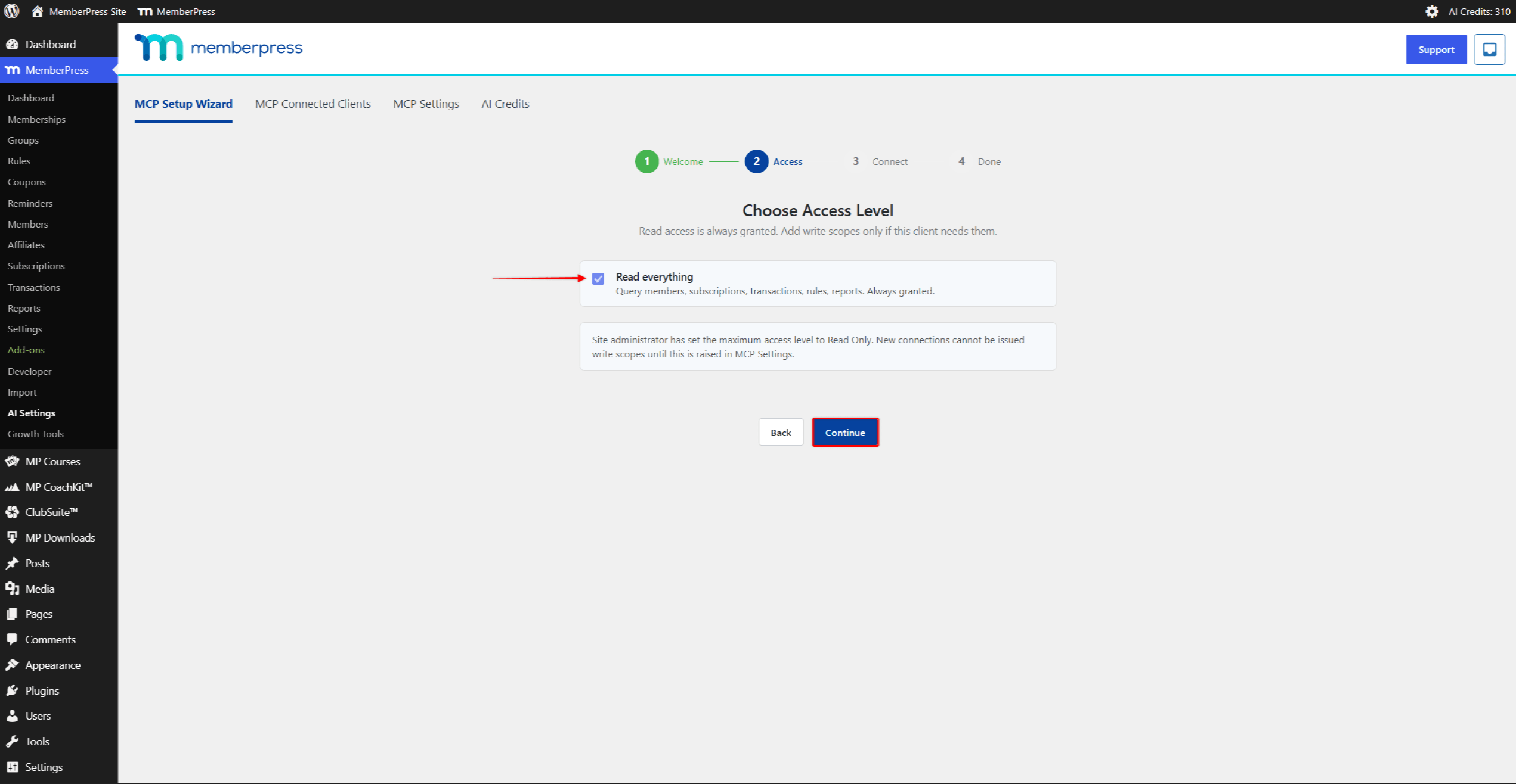 The wizard Access step at the Read Only access level, showing only the Read everything scope