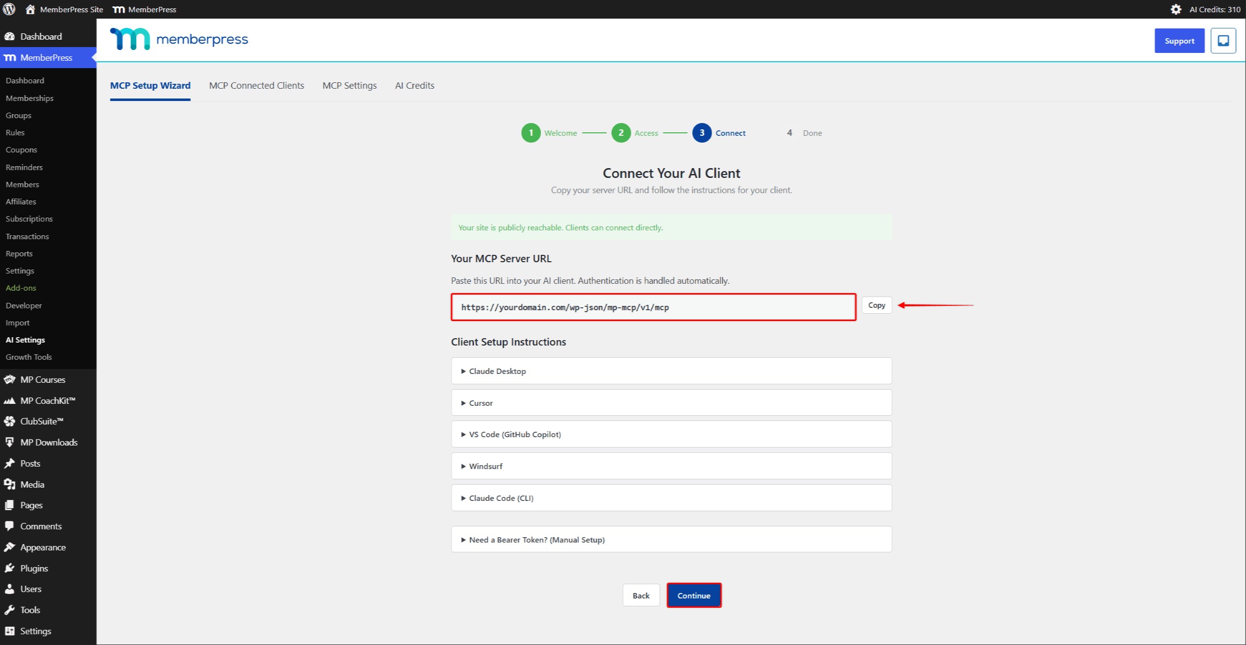 The wizard Connect step showing the MCP Server URL with its Copy button